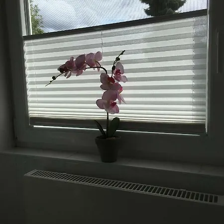 Oberdeck Apartament Fehmarn