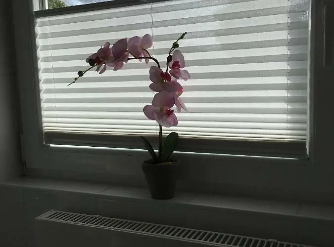 Oberdeck Appartamento Fehmarn